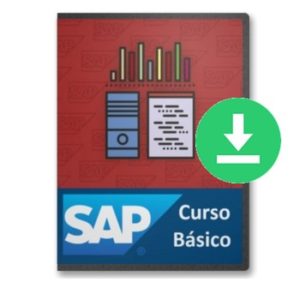 Curso   SAP Curso Básico De Introducción   Soluciones Electrónicas RL